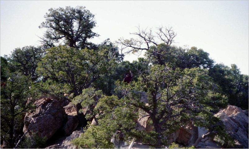 vacattion 1992 pagosa lake powell  north rim -- 064